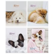 Тетрадь 96л., А5, клетка ArtSpace «Питомцы. The pets»