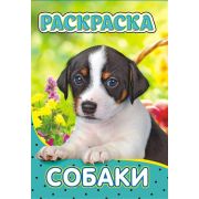 Раскраска-лайт А5 «Собаки»
