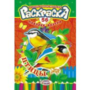 Раскраска с наклейками «Птицы», 56 наклеек