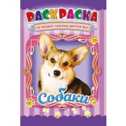 Раскраска «Собаки»