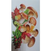 Набор «Грибы» (10 шт)