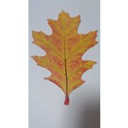 7нск047 Осенний набор (10 шт)