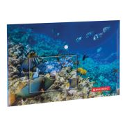 Папка-конверт с кнопкой BRAUBERG «SEA WORLD», А4, 160 мкм, до 100 листов, цветная печать, 228041