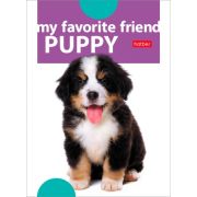 Блокнот 24л А6ф клетка на скобе Обложка мел.бумага ламинация серия -Наши друзья-