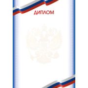 Диплом эконом с госсимволикой