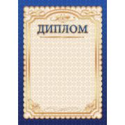 Диплом стандарт без госсимволики