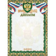 Диплом стандарт с госсимволикой